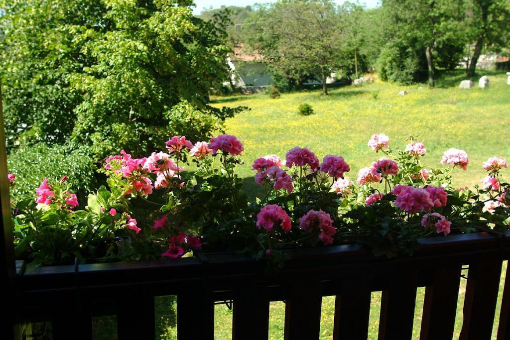 Residence Villa Maria Monrupino Habitación foto